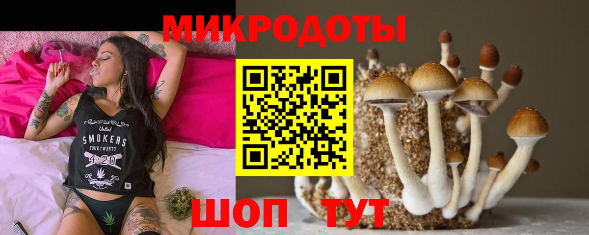 Зеленодольск  Псилоцибиновые грибы GOLDEN TEACHER  Вход с VPN 